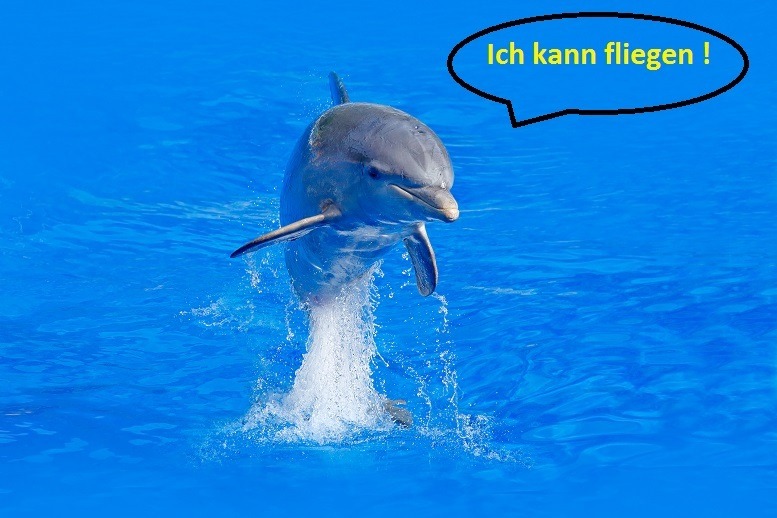 Delphin kann fliegen